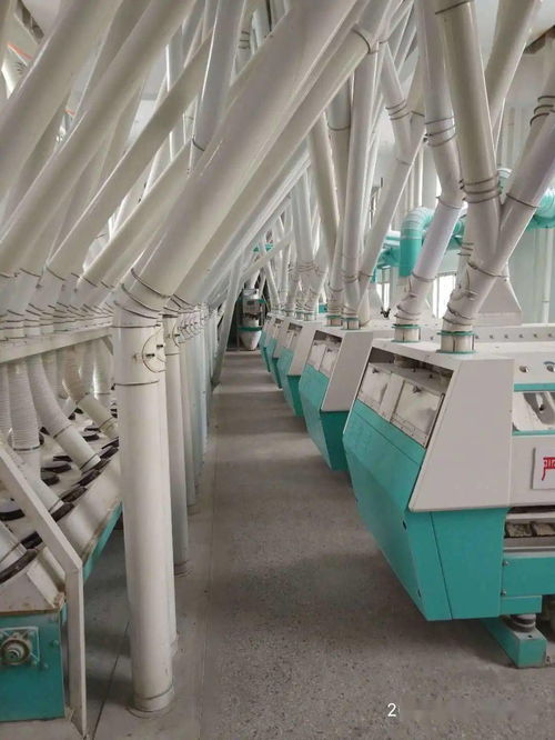 梁山縣新豐面粉廠 誠邀全國經銷商，共拓勞動保護用品銷售新藍海